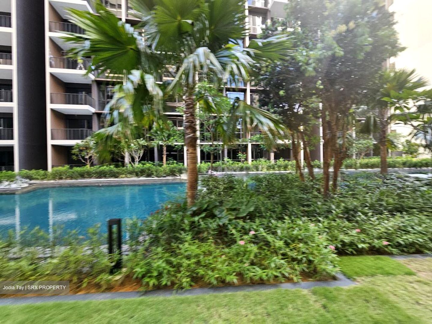 Tenet (D18), Condominium #497395171